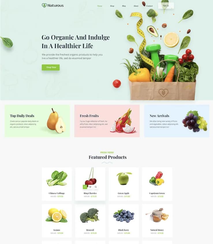 Layout 01, a website layout